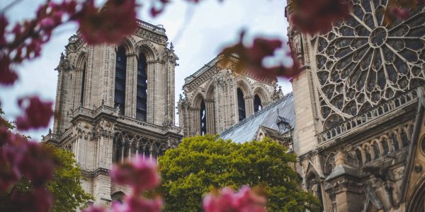 katedra Notre Dame – symbolika