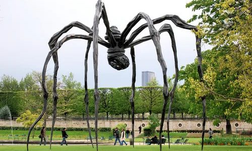 największy pająk na świecie